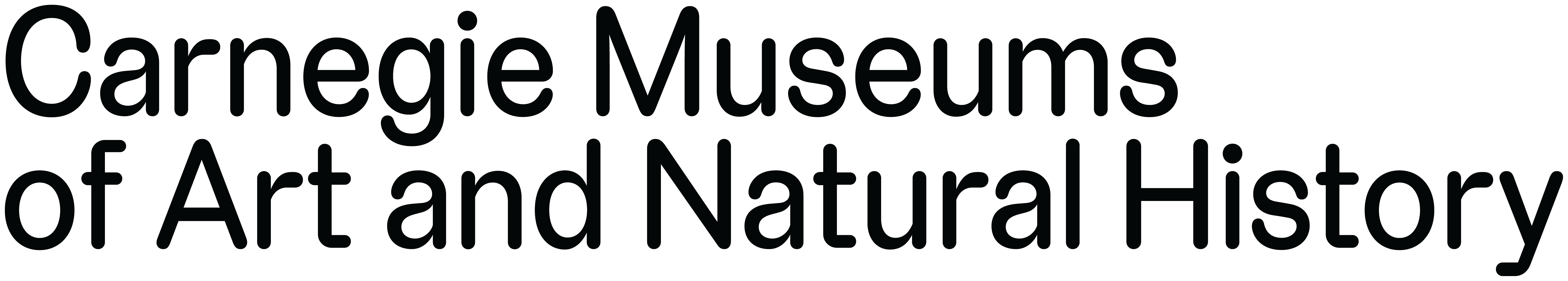 Carnegie Museum of Art
